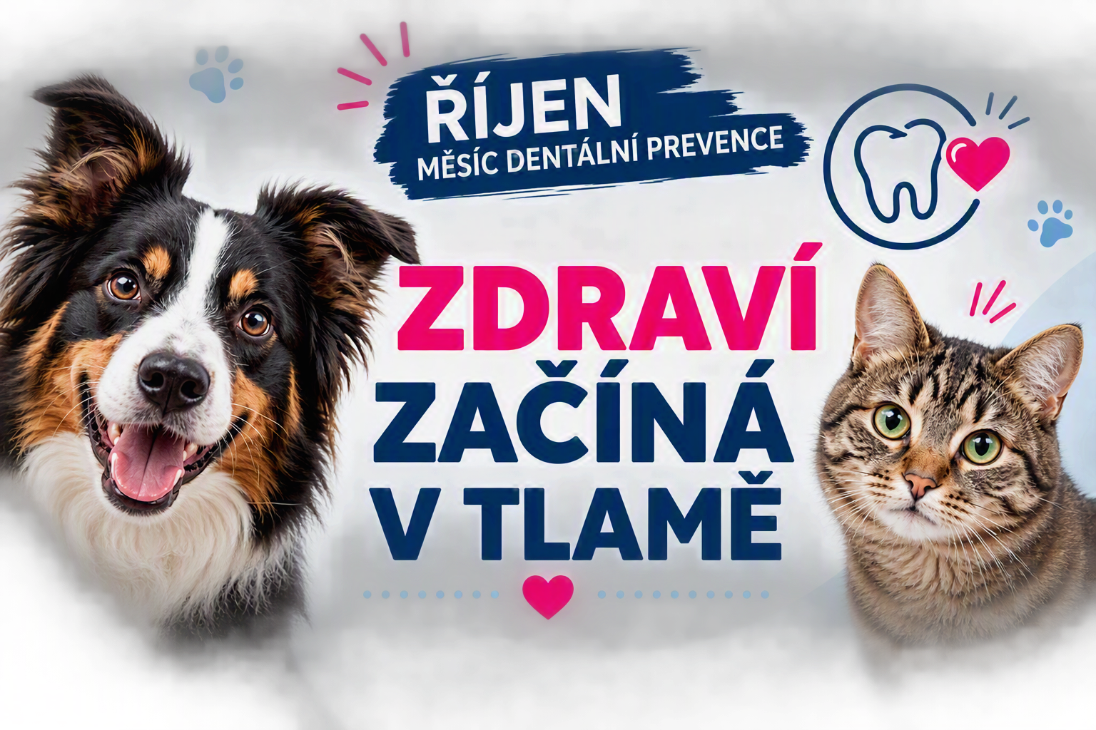 🦷 Říjen je měsíc dentální prevence. Zjistěte, jak můžete pomoci zdraví svého mazlíčka. Více informací o akci najdete v letáku ke stažení níže. 👇🐾